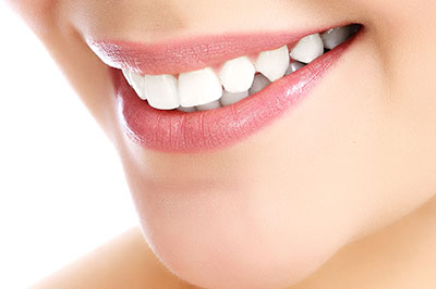 Schneider Family   Cosmetic Dentistry | Root Canals, Periodontal Treatment and Dental Fillings